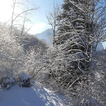 Bodenseeblick Dornbirn