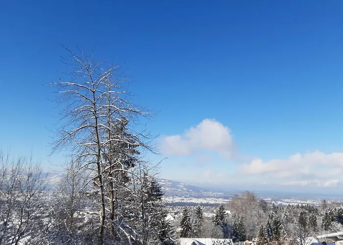 Bodenseeblick 公寓 *